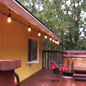 S14 LED String Light Bulbs 2W Clear Replacement Bulbs E26 25 Pack