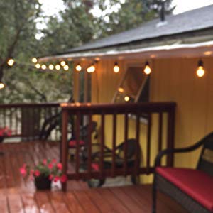 S14 LED String Light Bulbs 2W Clear Replacement Bulbs E26 25 Pack