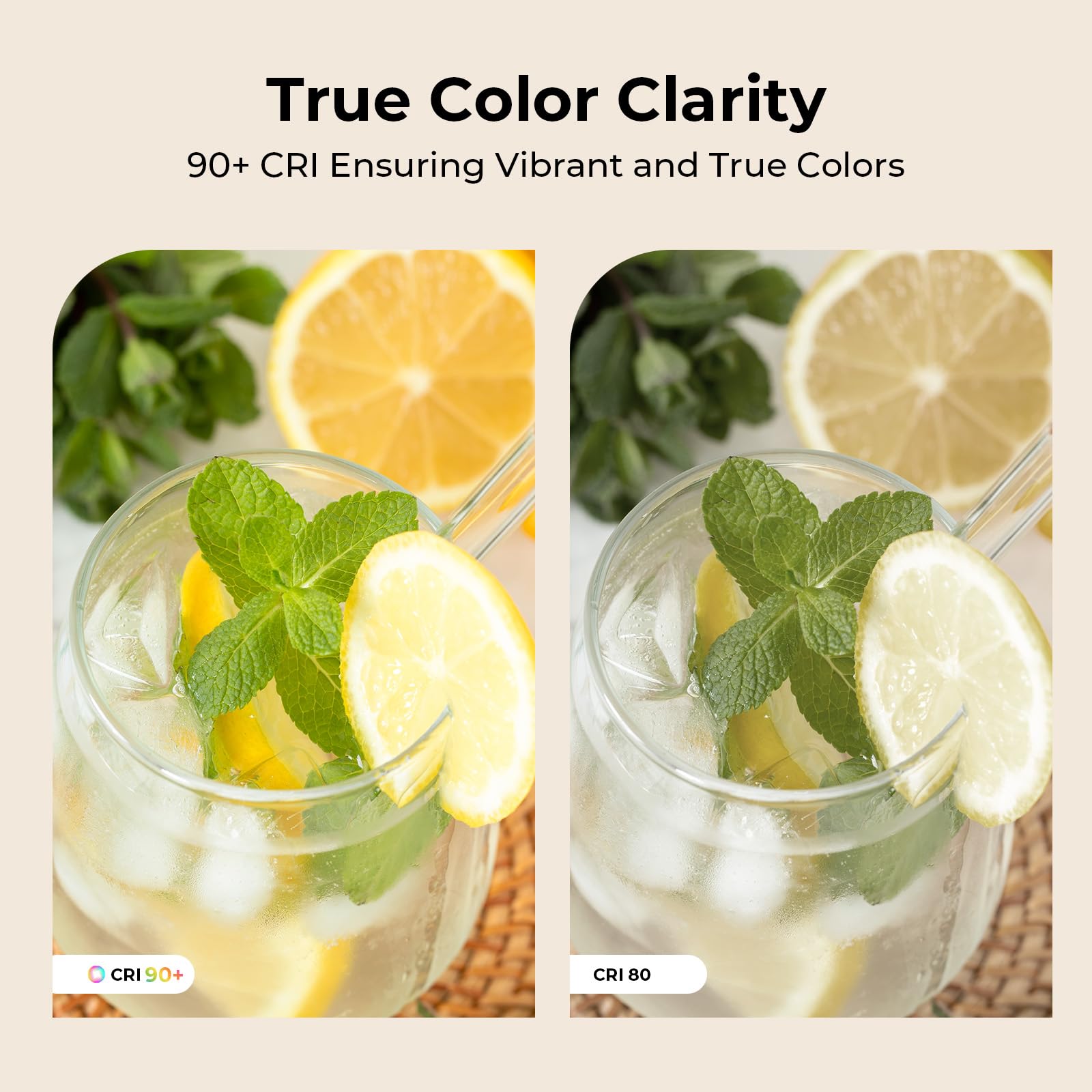 E26 LED Edison Bulb 6W 60W Equivalent Soft White 2700K Dimmable 6 Pack