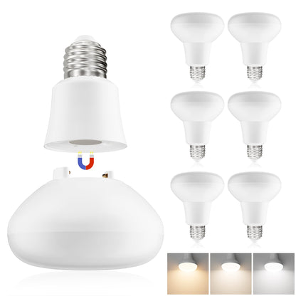 BR30 LED Flood Light Bulb 65W Equivalent 1000LM 3 Color Dimmable 2 Pack