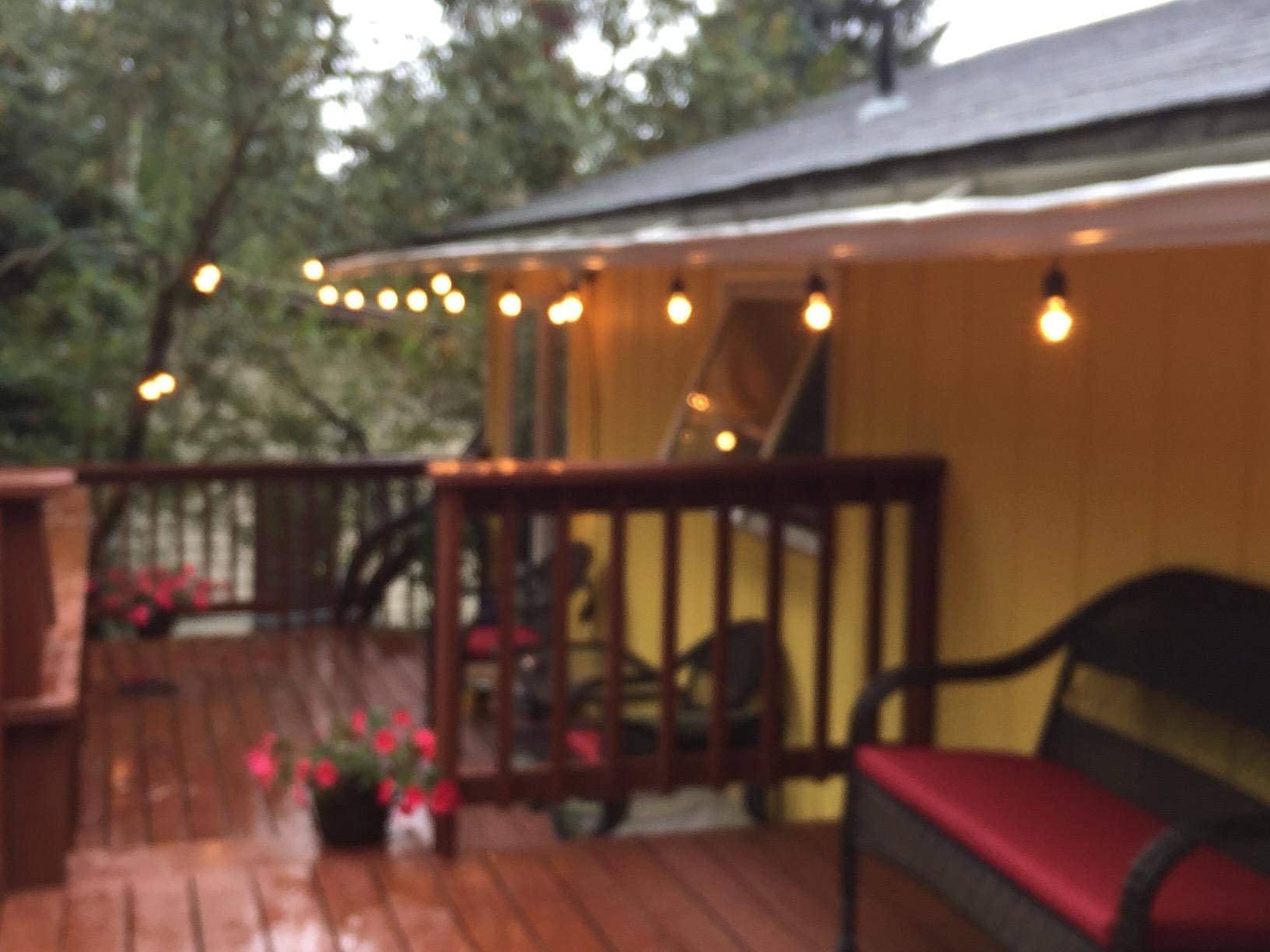 S14 LED String Light Bulbs 2W Clear Replacement Bulbs E26 25 Pack