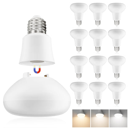 BR30 LED Flood Light Bulb 65W Equivalent 1000LM 3 Color Dimmable 2 Pack