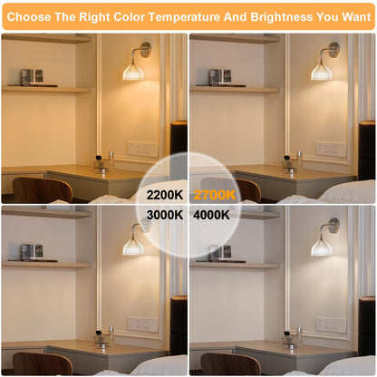 E26 LED Edison Bulb 4W 40W Equivalent Warm White 2200K Dimmable 2 Pack