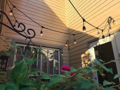 S14 LED String Light Bulbs 2W Clear Replacement Bulbs E26 25 Pack