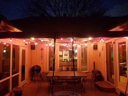 S14 LED String Light Bulbs 2W Clear Replacement Bulbs E26 25 Pack