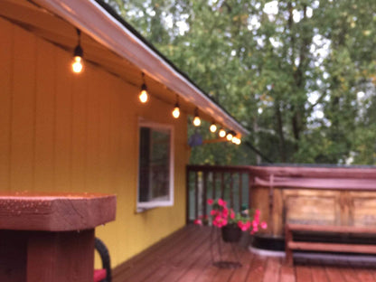 S14 LED String Light Bulbs 2W Clear Replacement Bulbs E26 25 Pack