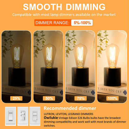 E26 LED Edison Bulb 4W 40W Equivalent Warm White 2200K Dimmable 4 Pack