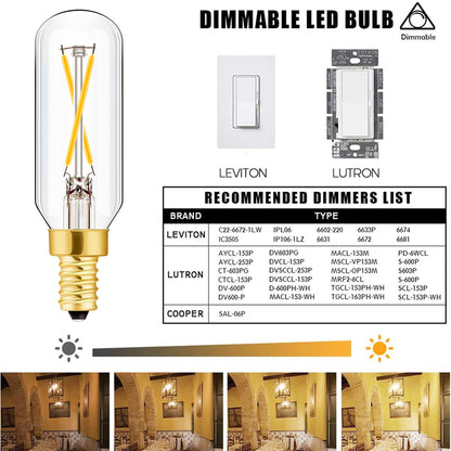 E12 LED Candelabra Bulb 2W Warm White 2500K Dimmable 12 Pack