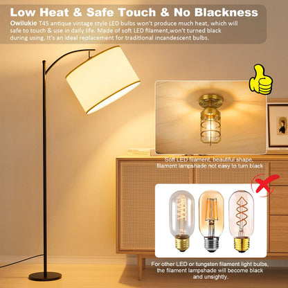 E26 LED Edison Bulb 4W 40W Equivalent Warm White 2200K Dimmable 2 Pack