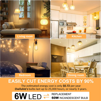 E26 LED Edison Bulb 4W 40W Equivalent Warm White 2200K Dimmable 4 Pack